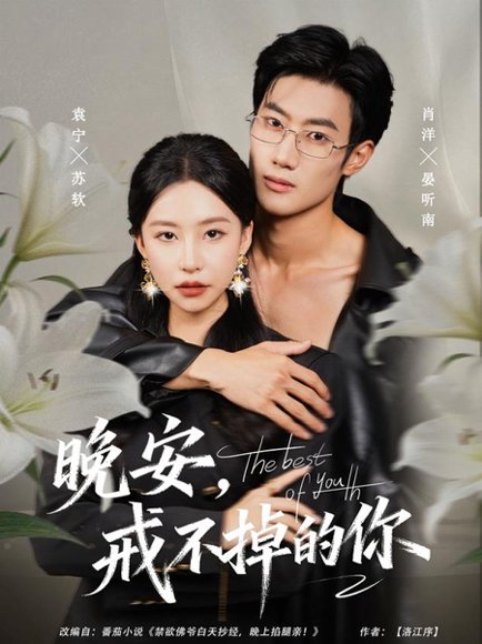 晚安，戒不掉的你（68集）袁宁＆肖洋 高清完整版