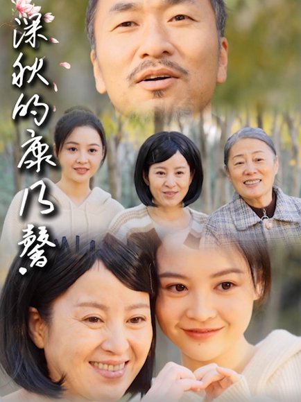 深秋的康乃馨（90集） 高清完整版