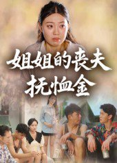 姐姐的丧夫抚恤金（40集） 高清完整版